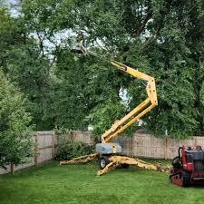 Best Sod Installation  in North Hudson, WI